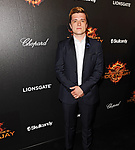 Cannes_Mockingjay_1_002.jpg