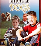 Miracle_Dogs_2.jpg